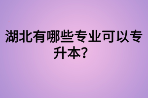 湖北有哪些專業(yè)可以專升本？