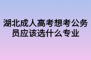 湖北成人高考想考公務員應該選什么專業(yè)