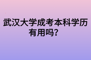 武漢大學(xué)成考本科學(xué)歷有用嗎？