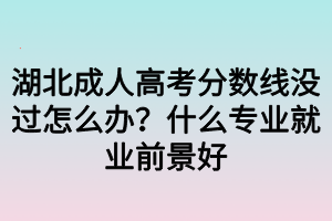 湖北成人高考分?jǐn)?shù)線沒過怎么辦？什么專業(yè)就業(yè)前景好