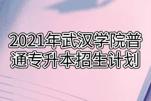 2021年武漢學(xué)院普通專升本招生計劃