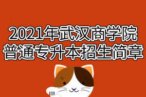 2021年武漢商學(xué)院普通專升本招生簡章