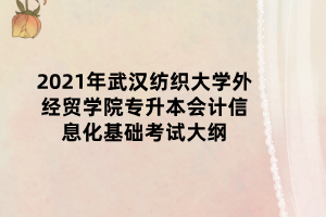 2021年武漢紡織大學(xué)外經(jīng)貿(mào)學(xué)院專(zhuān)升本會(huì)計(jì)信息化基礎(chǔ)考試大綱