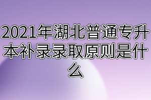 2021年湖北普通專升本補(bǔ)錄錄取原則是什么