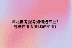 湖北自考報考如何選專業(yè)？哪些自考專業(yè)比較實(shí)用？