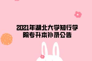 2021年湖北大學知行學院專升本補錄公告