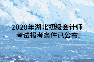 2020年湖北初級會計師考試報考條件已公布