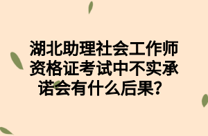 湖北助理社會(huì)工作師資格證考試中不實(shí)承諾會(huì)有什么后果？