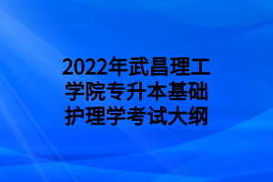 2022年武昌理工學(xué)院專升本基礎(chǔ)護(hù)理學(xué)考試大綱