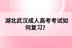 湖北武漢成人高考考試如何復(fù)習(xí)？