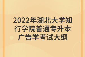 2022年湖北大學(xué)知行學(xué)院普通專(zhuān)升本廣告學(xué)考試大綱