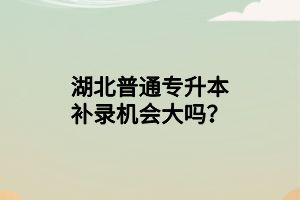 湖北普通專升本補(bǔ)錄機(jī)會(huì)大嗎？