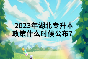 2023年湖北專升本政策什么時候公布？